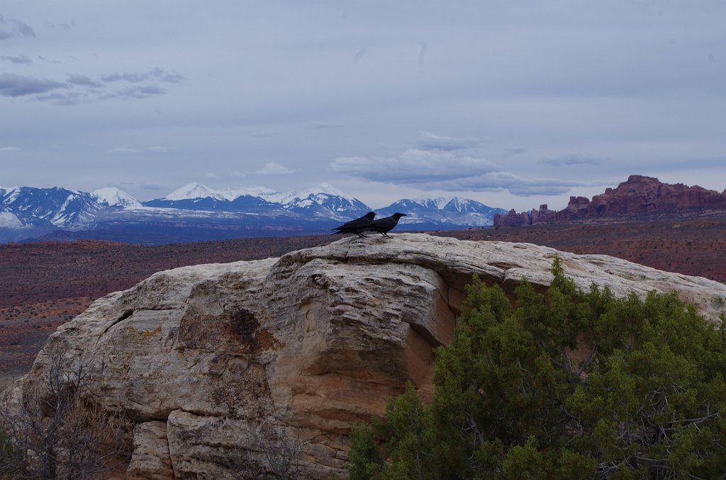 2018_0324_143752.JPG - Arches - Salt Valley Overlook