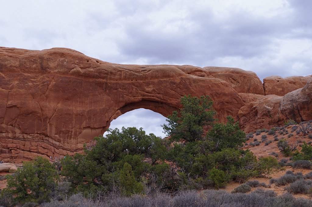 2018_0324_152359.JPG - Arches - North Window