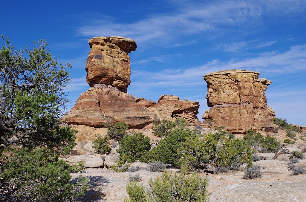 2018_0325_095434.JPG - Canyonlands The Needles - Big Spring Canyon