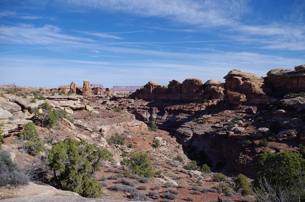 2018_0325_095656.JPG - Canyonlands The Needles - Big Spring Canyon