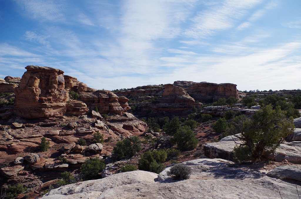 2018_0325_095702.JPG - Canyonlands The Needles - Big Spring Canyon