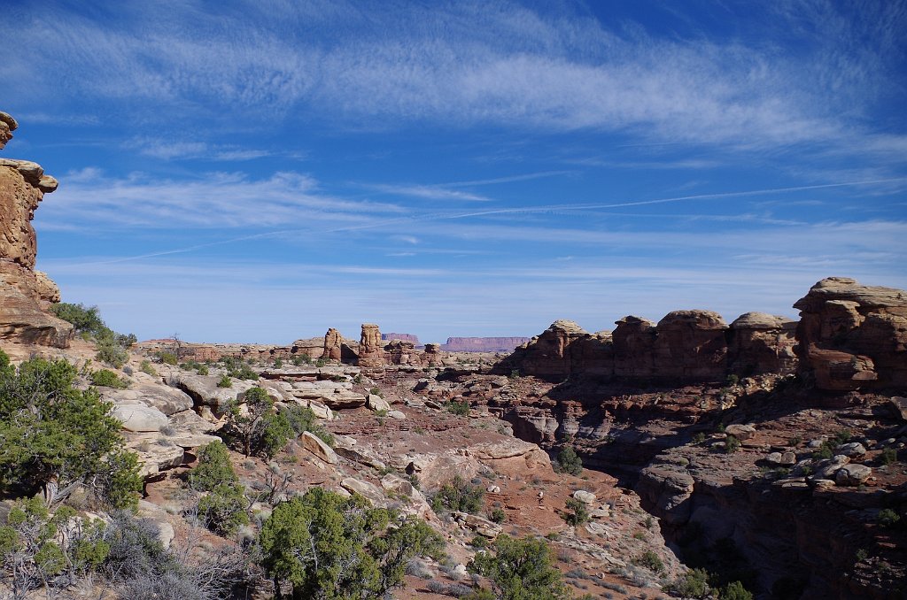 2018_0325_095715.JPG - Canyonlands The Needles - Big Spring Canyon