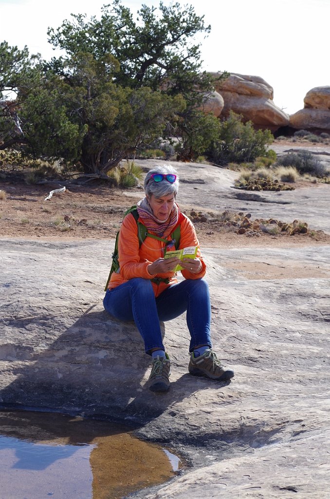 2018_0325_102140.JPG - Canyonlands The Needles - Pothole Point