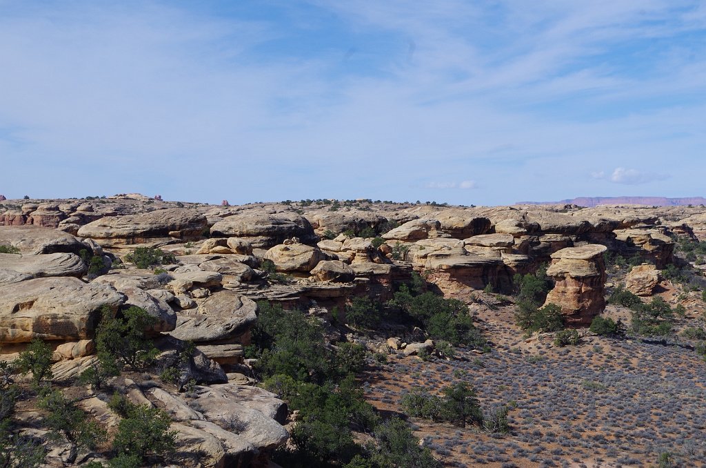 2018_0325_102206.JPG - Canyonlands The Needles - Pothole Point