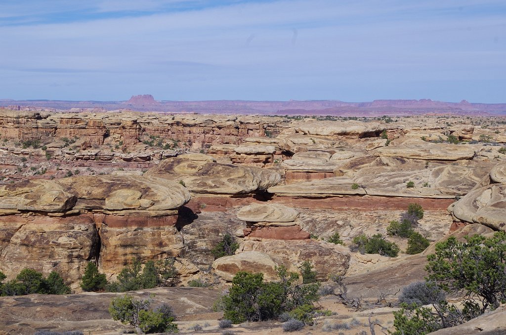 2018_0325_102211.JPG - Canyonlands The Needles - Pothole Point