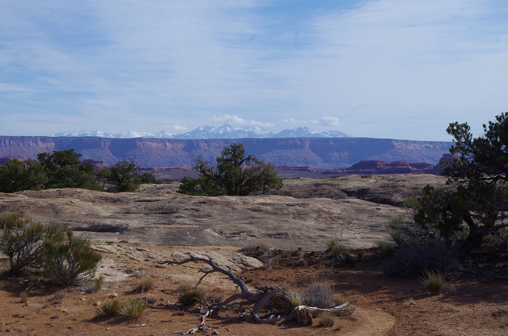 2018_0325_102218.JPG - Canyonlands The Needles - Pothole Point
