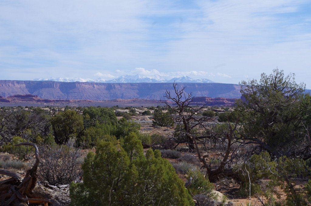 2018_0325_103346.JPG - Canyonlands The Needles - Pothole Point