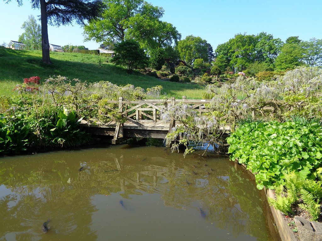 2018_0507_092918.JPG - Royal Horticultural Society Garden Wisley UK