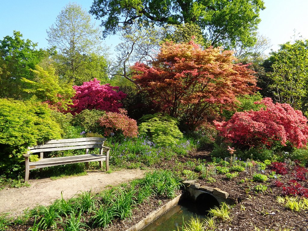 2018_0507_093048.JPG - Royal Horticultural Society Garden Wisley UK