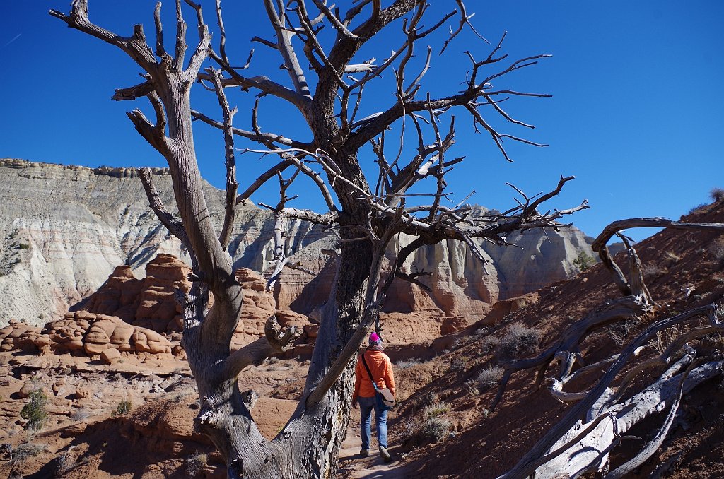 2018_1112_125548.JPG - Kodachrome Basin State Park Angel’s Palace Trail