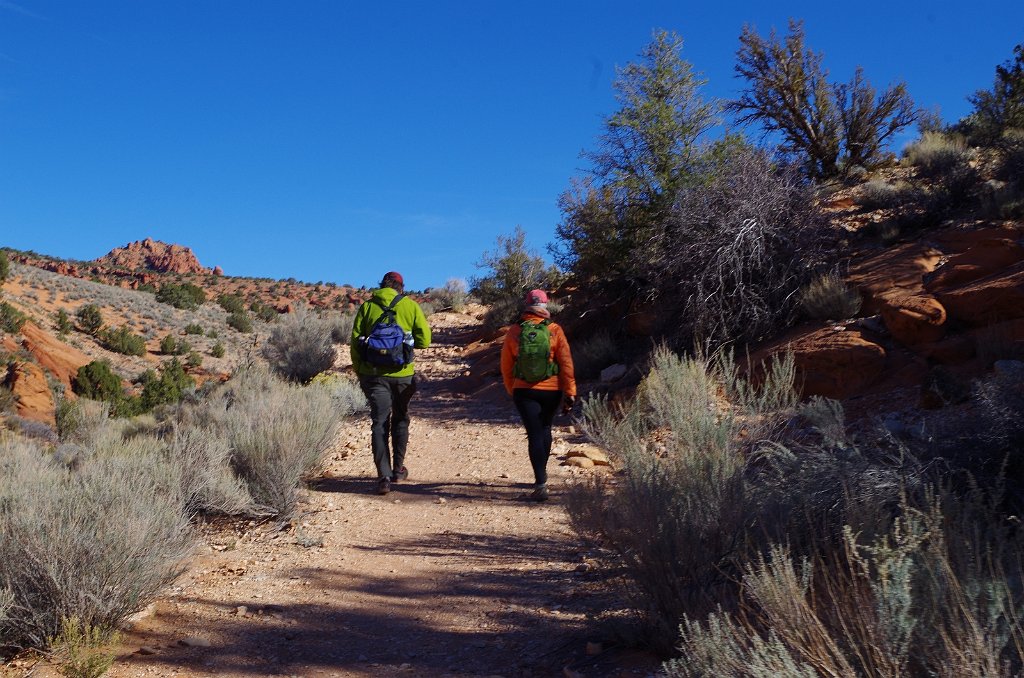 2018_1113_101747(2).JPG - Vermillion Cliffs National Monument at North Coyote Buttes