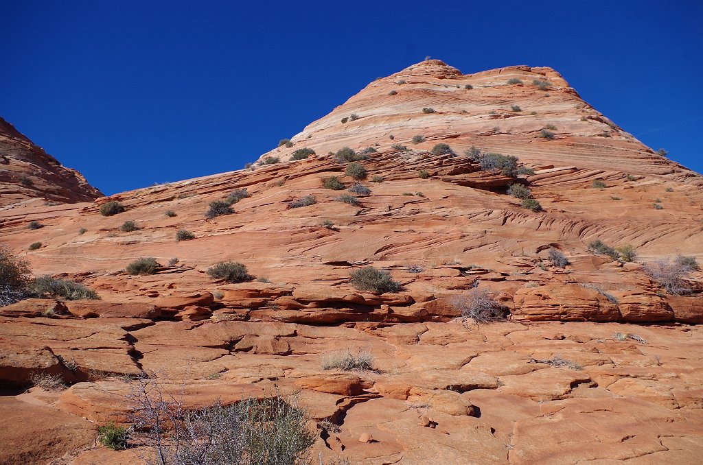 2018_1113_105414.JPG - Vermillion Cliffs National Monument at North Coyote Buttes