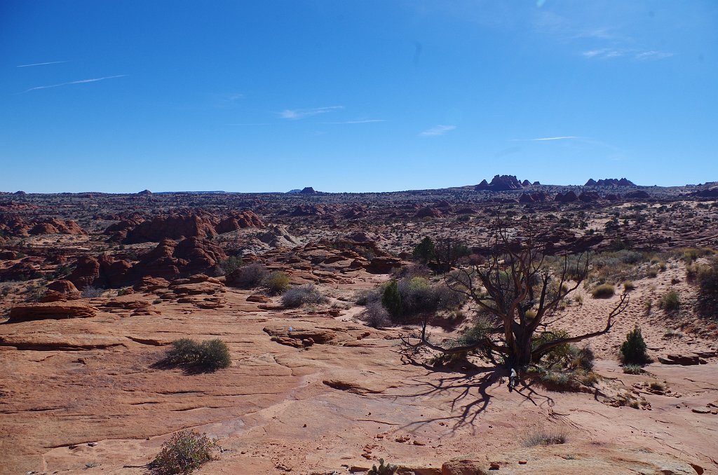 2018_1113_110030.JPG - Vermillion Cliffs National Monument at North Coyote Buttes