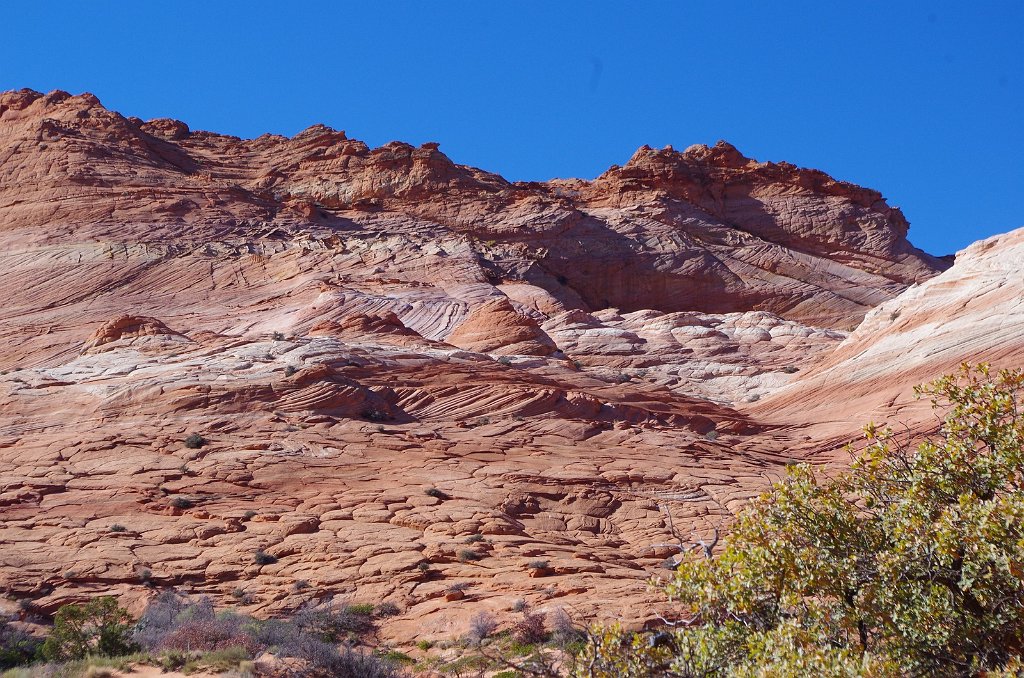 2018_1113_110655.JPG - Vermillion Cliffs National Monument at North Coyote Buttes
