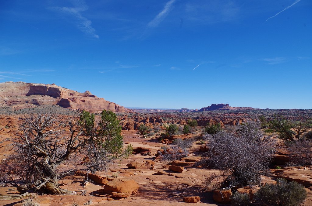2018_1113_111142.JPG - Vermillion Cliffs National Monument at North Coyote Buttes