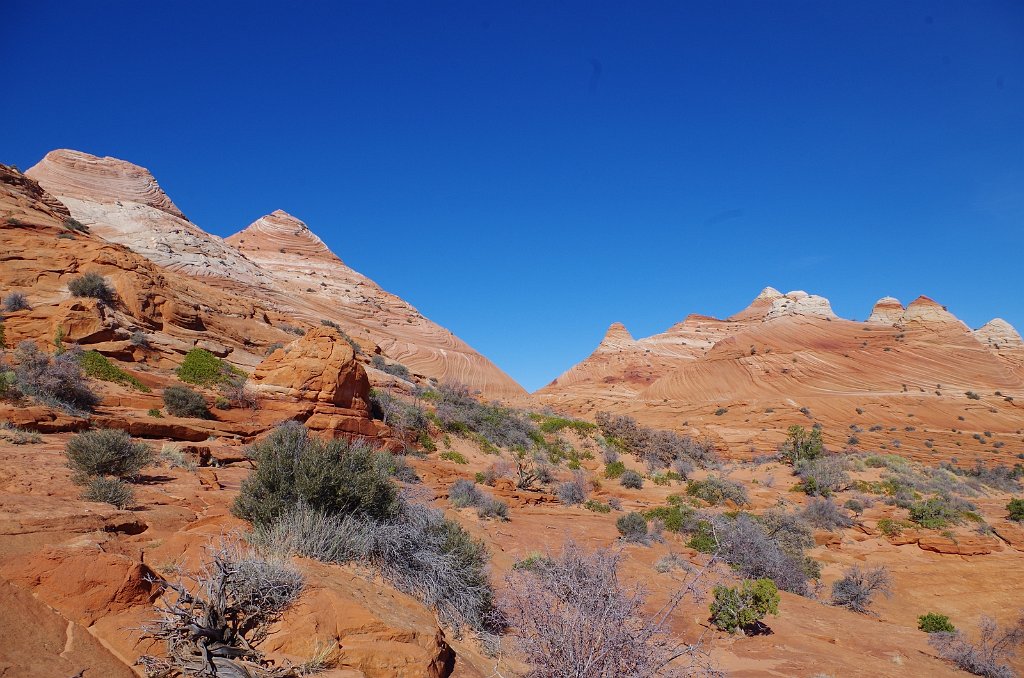 2018_1113_111228.JPG - Vermillion Cliffs National Monument at North Coyote Buttes