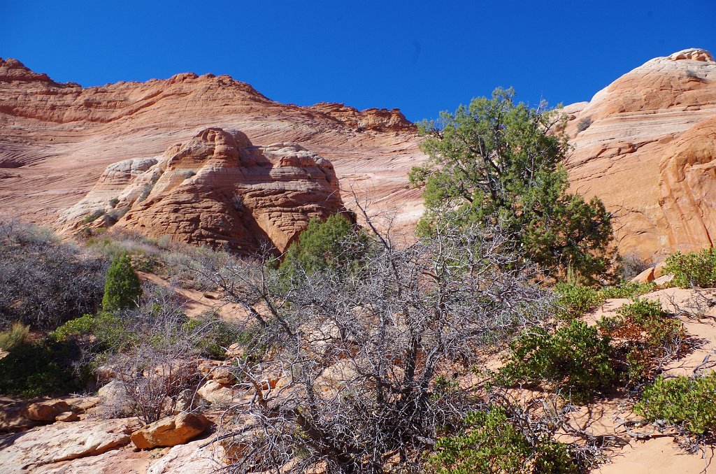 2018_1113_111439.JPG - Vermillion Cliffs National Monument at North Coyote Buttes