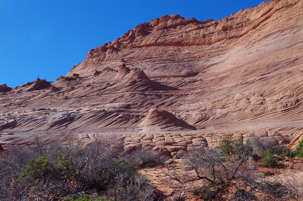 2018_1113_111634.JPG - Vermillion Cliffs National Monument at North Coyote Buttes