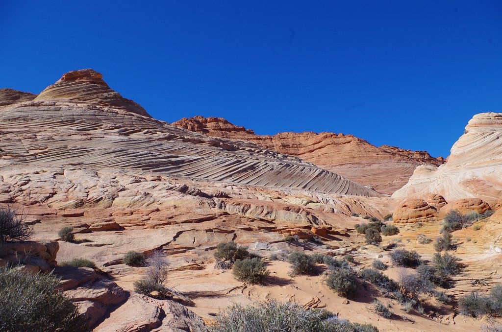 2018_1113_112323.JPG - Vermillion Cliffs National Monument at North Coyote Buttes