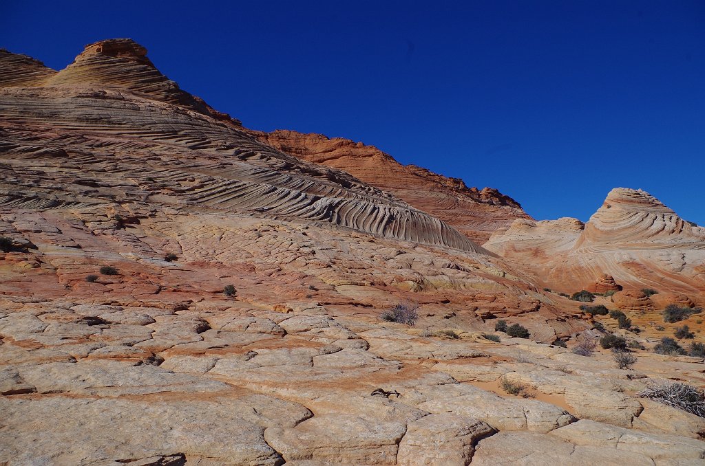 2018_1113_112437.JPG - Vermillion Cliffs National Monument at North Coyote Buttes