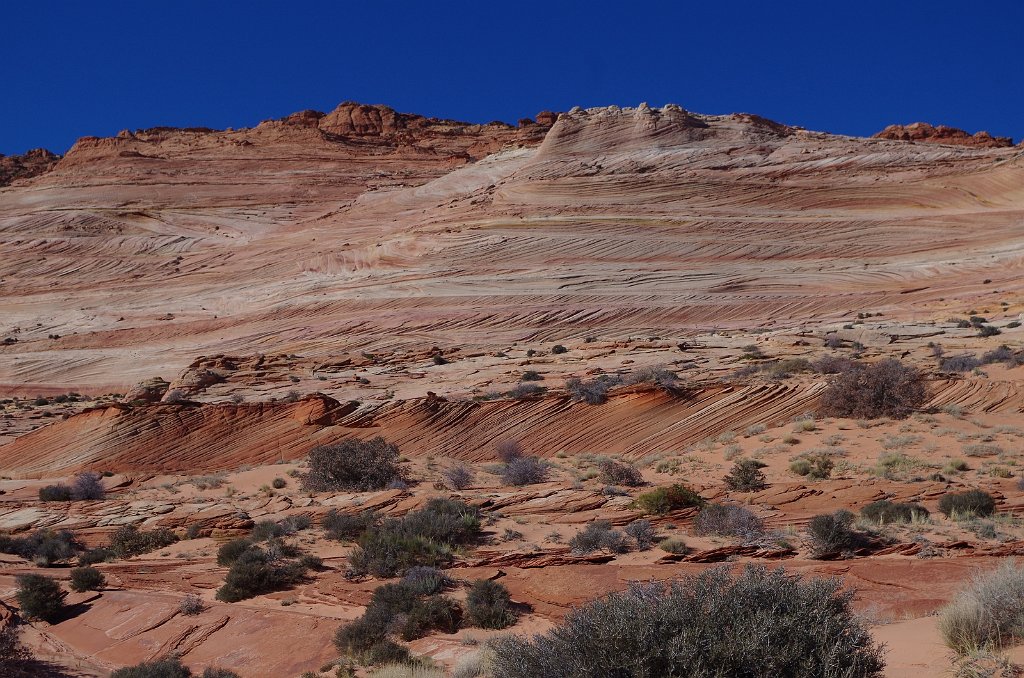 2018_1113_113219(2).JPG - Vermillion Cliffs National Monument at North Coyote Buttes