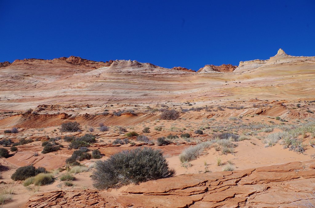 2018_1113_113222.JPG - Vermillion Cliffs National Monument at North Coyote Buttes