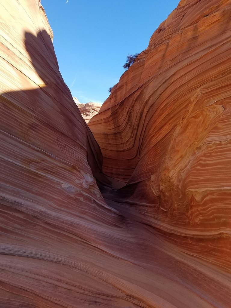 2018_1113_120142.jpg - Vermillion Cliffs National Monument at North Coyote Buttes – The Wave