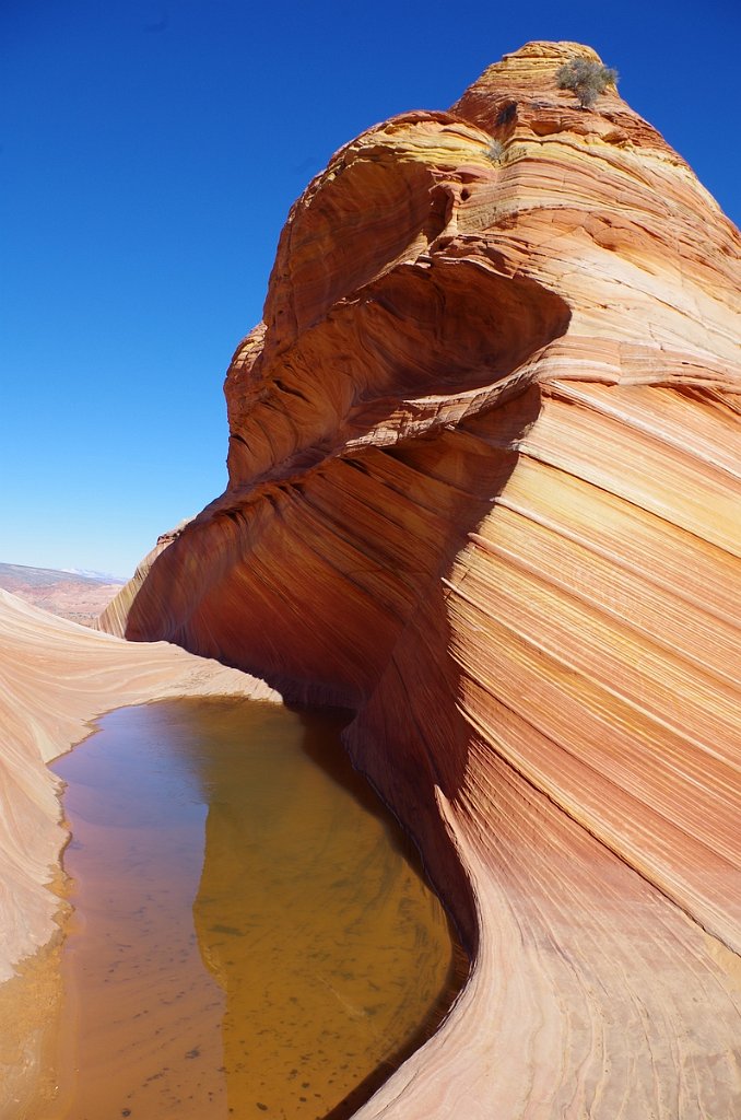 2018_1113_120221.JPG - Vermillion Cliffs National Monument at North Coyote Buttes – The Wave