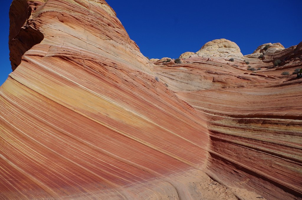 2018_1113_120425(1).JPG - Vermillion Cliffs National Monument at North Coyote Buttes – The Wave