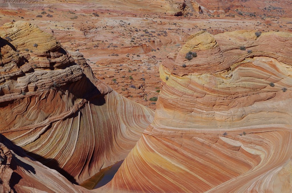 2018_1113_123127(2).JPG - Vermillion Cliffs National Monument at North Coyote Buttes – The Wave