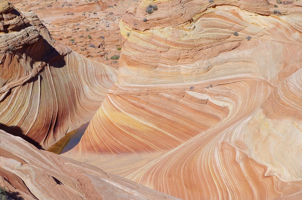 2018_1113_123145.JPG - Vermillion Cliffs National Monument at North Coyote Buttes – The Wave