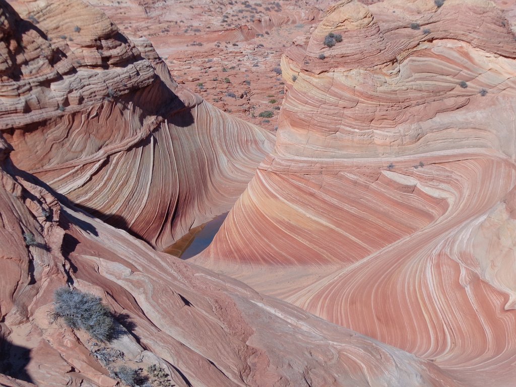 2018_1113_124021.JPG - Vermillion Cliffs National Monument at North Coyote Buttes – The Wave