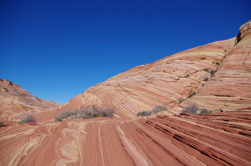 2018_1113_132351.JPG - Vermillion Cliffs National Monument at North Coyote Buttes