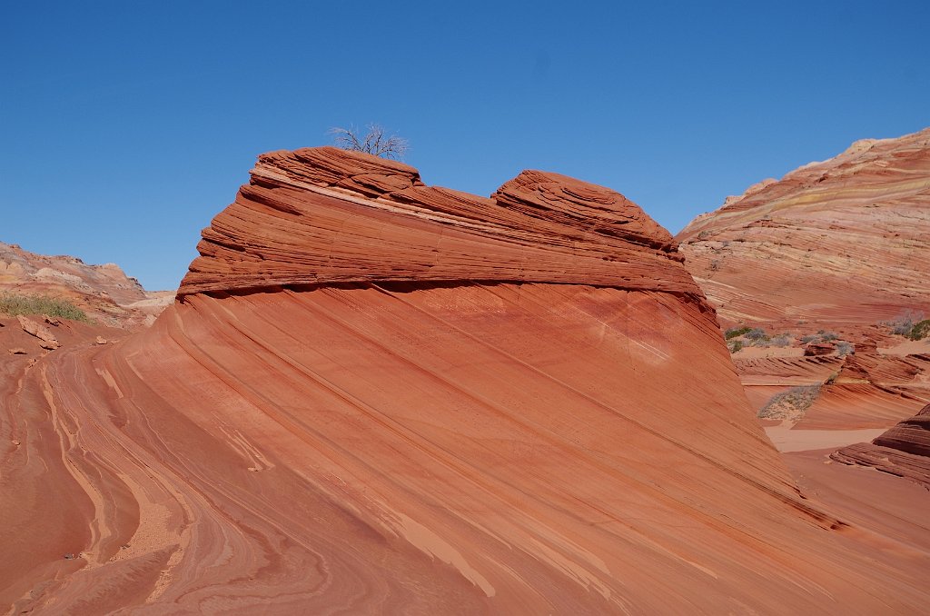 2018_1113_133437.JPG - Vermillion Cliffs National Monument at North Coyote Buttes