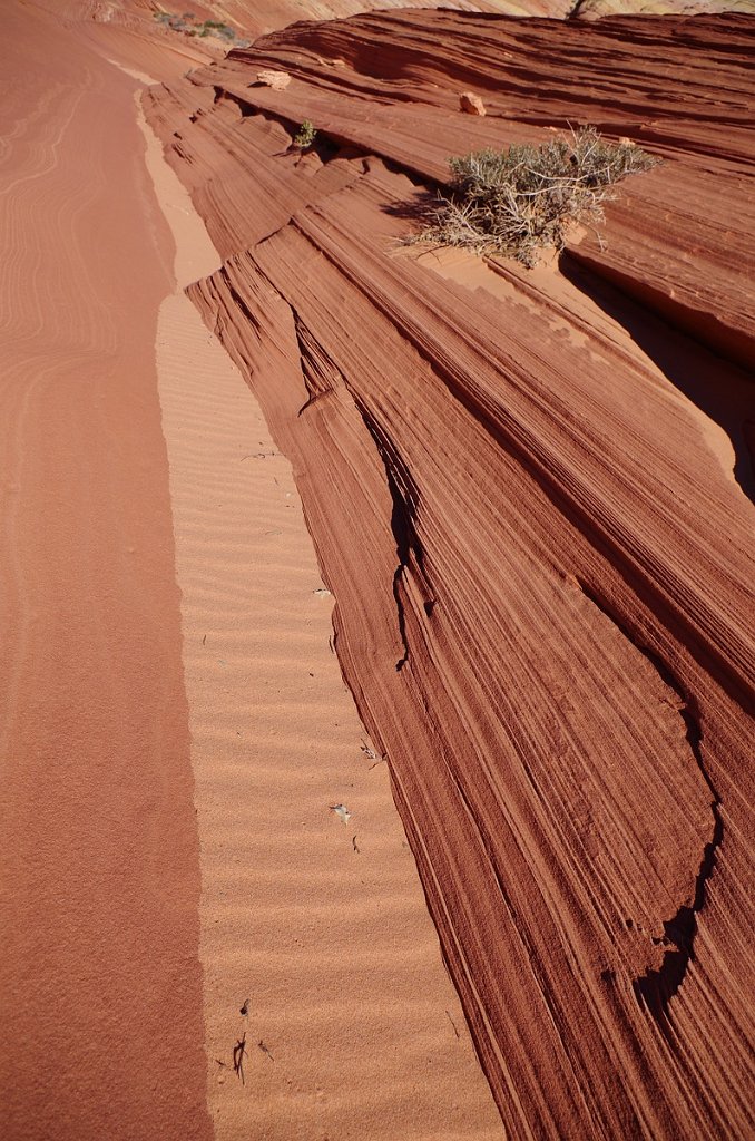 2018_1113_133526.JPG - Vermillion Cliffs National Monument at North Coyote Buttes