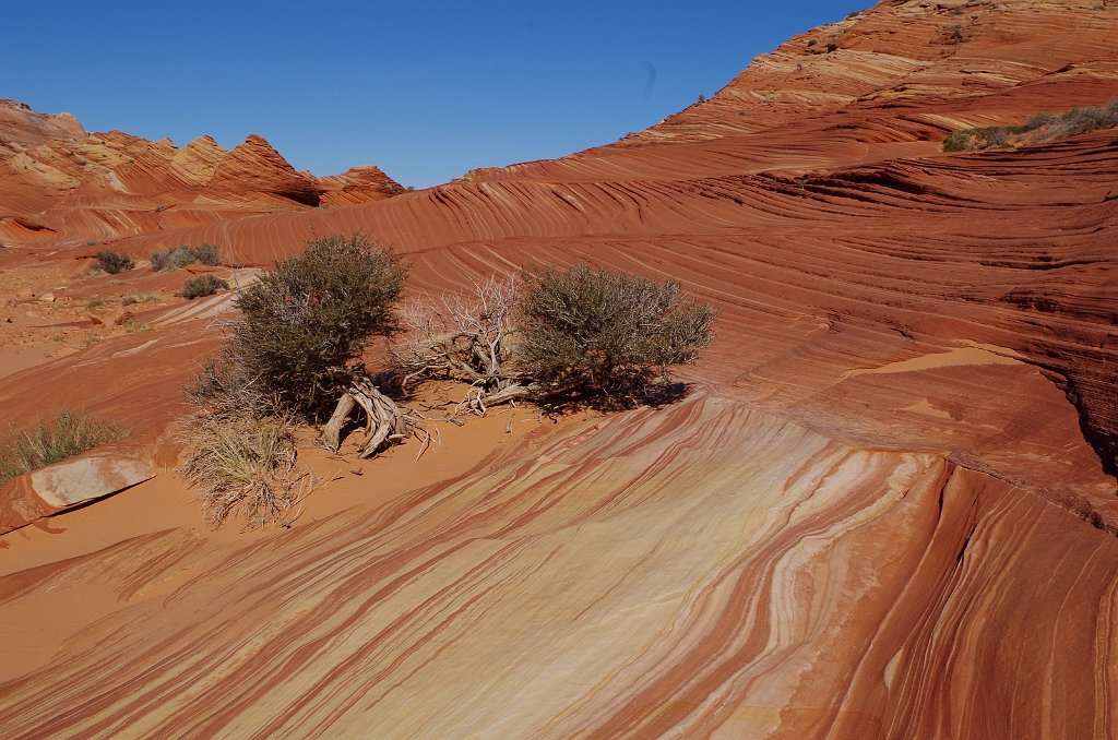 2018_1113_133926(2).JPG - Vermillion Cliffs National Monument at North Coyote Buttes