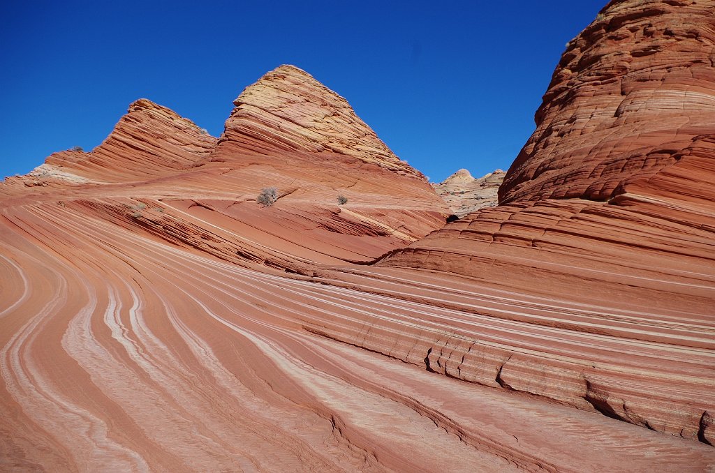 2018_1113_134727.JPG - Vermillion Cliffs National Monument at North Coyote Buttes