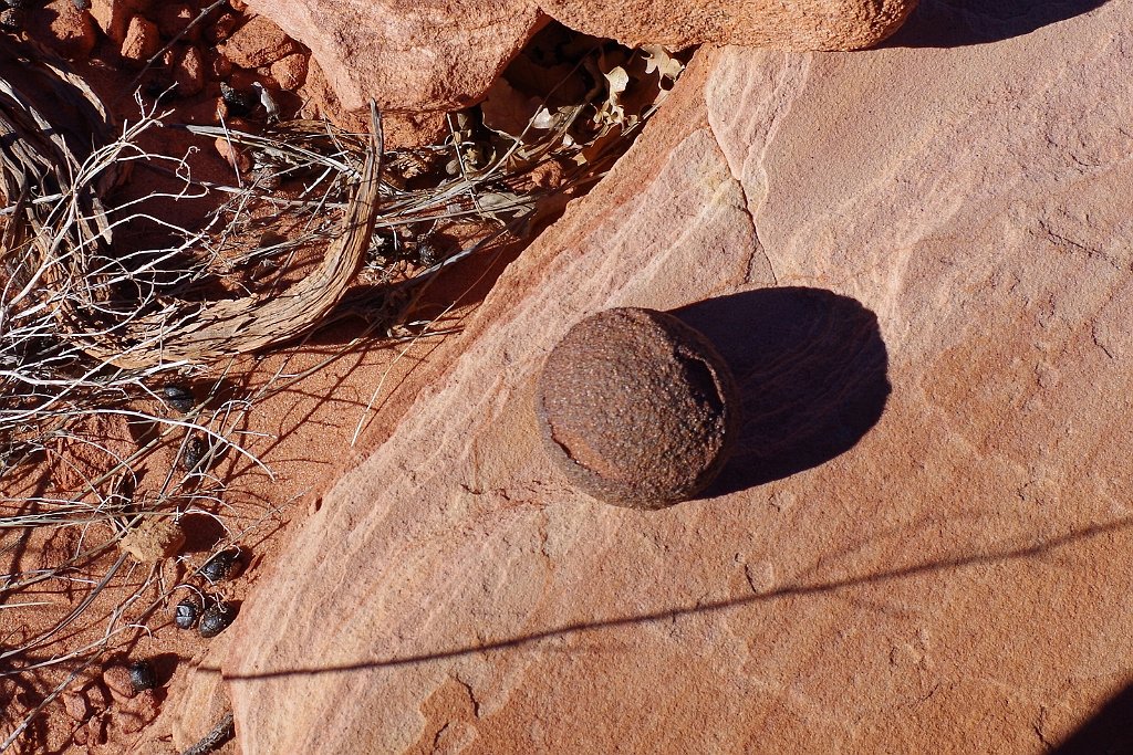 2018_1113_135853(2).JPG - Vermillion Cliffs National Monument at North Coyote Buttes