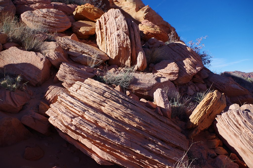 2018_1113_143106(1).JPG - Vermillion Cliffs National Monument at North Coyote Buttes