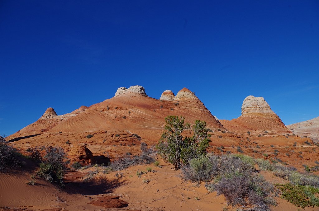 2018_1113_144644.JPG - Vermillion Cliffs National Monument at North Coyote Buttes