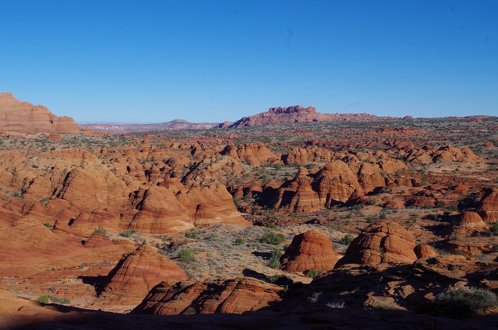 2018_1113_145333.JPG - Vermillion Cliffs National Monument at North Coyote Buttes