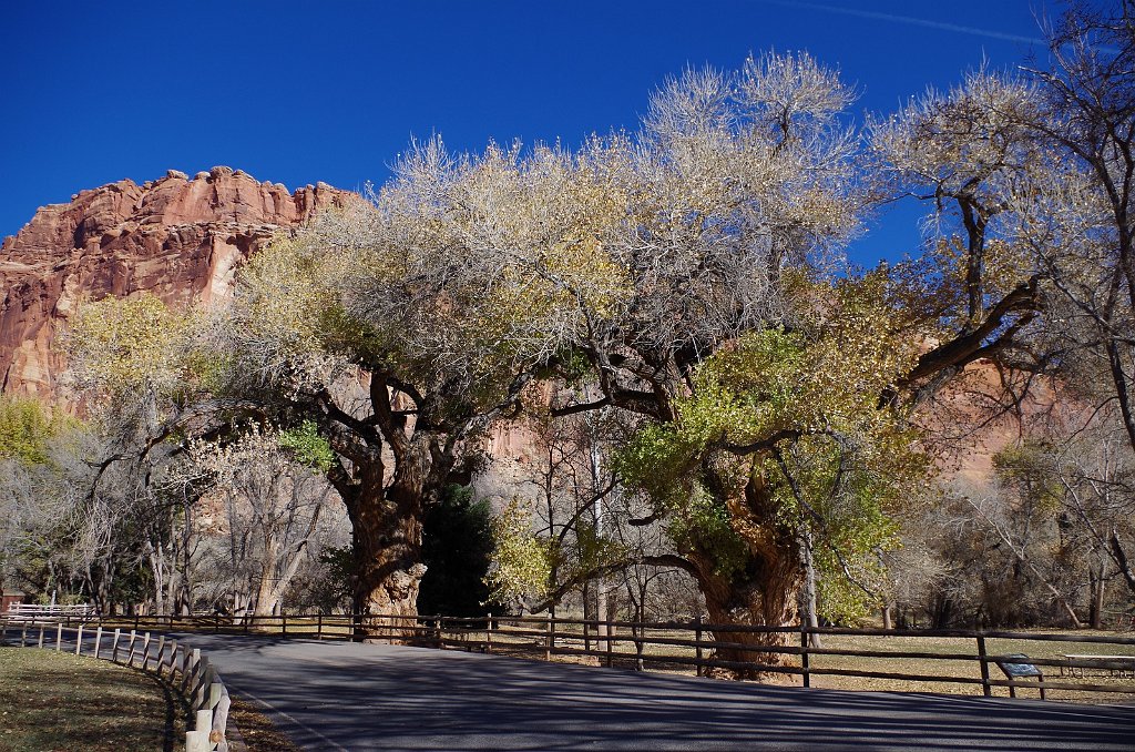 2018_1114_100003.JPG - Capitol Reef Scenic Drive