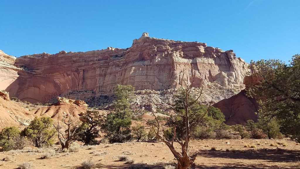 2018_1114_102550.jpg - Capitol Reef Scenic Drive