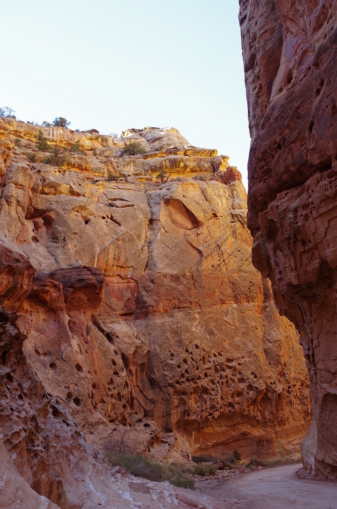 2018_1114_103318.JPG - Capitol Reef Scenic Drive