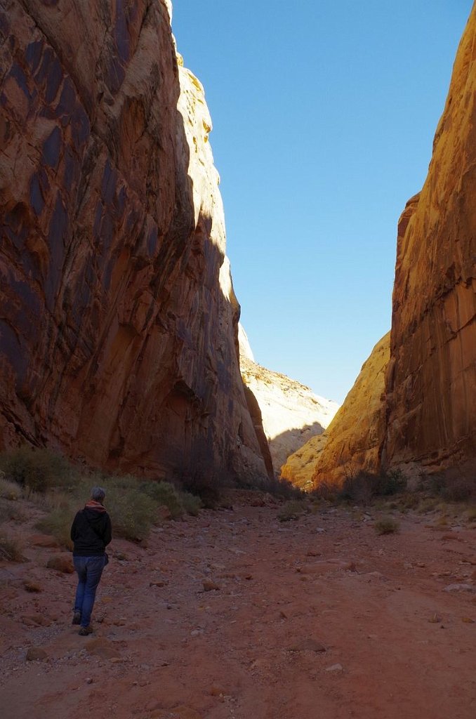 2018_1114_104859.JPG - Capitol Reef Capitol Gorge hike