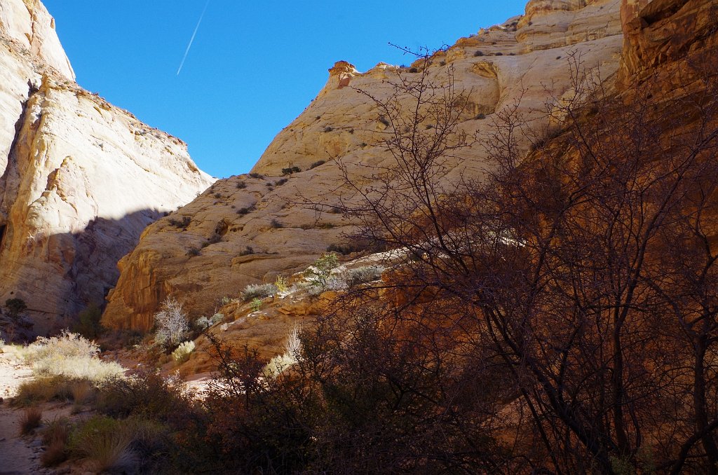 2018_1114_105255.JPG - Capitol Reef Capitol Gorge hike