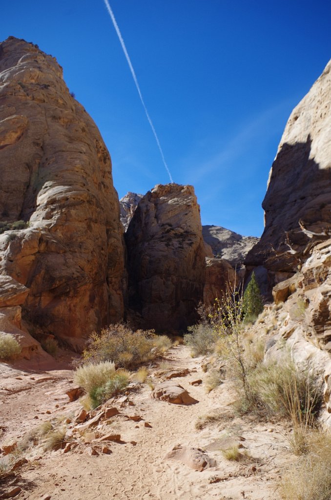 2018_1114_105445.JPG - Capitol Reef Capitol Gorge hike