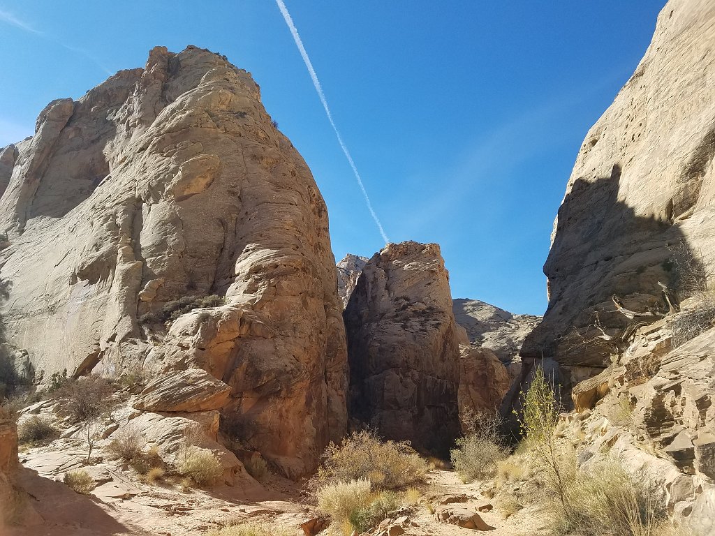 2018_1114_105841.jpg - Capitol Reef Capitol Gorge hike