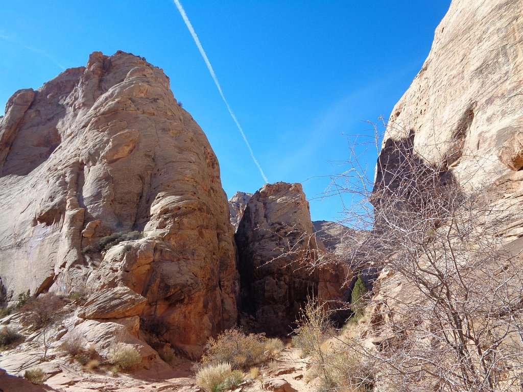 2018_1114_110330.JPG - Capitol Reef Capitol Gorge hike