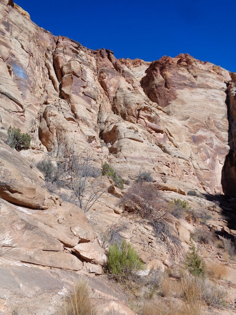 2018_1114_110339.JPG - Capitol Reef Capitol Gorge hike